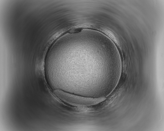 X0000093410389200710260942