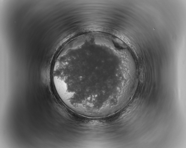 X0000093410390200710260942