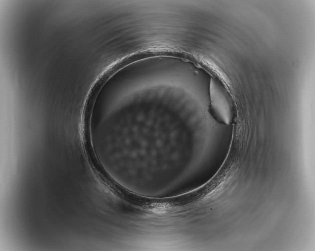 X0000093410391200710260942