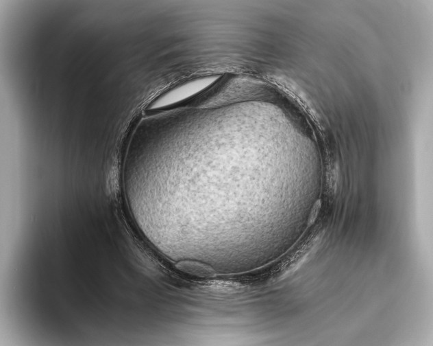 X0000093410393200710260942