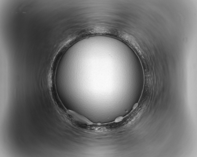 X0000093410395200710260942