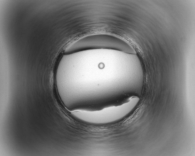 X0000093410397200710260942