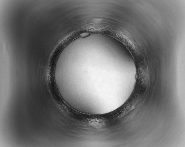 X0000093410400200710260942