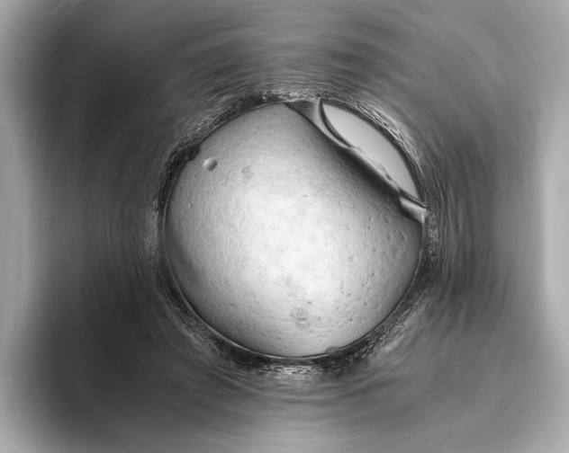 X0000093410401200710260942