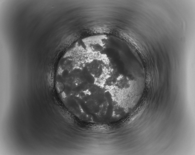 X0000093410402200710260942