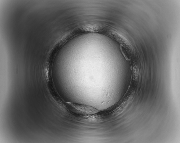 X0000093410404200710260942