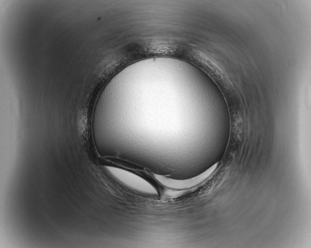 X0000093410407200710260942