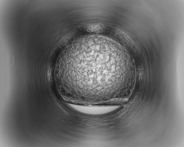 X0000093410408200710260942