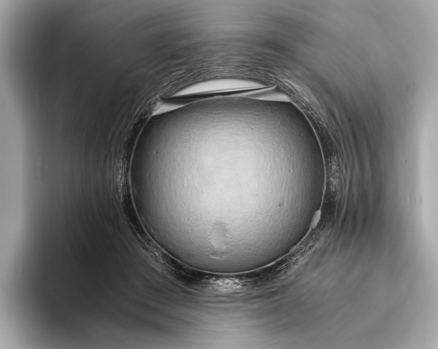 X0000093410409200710260942