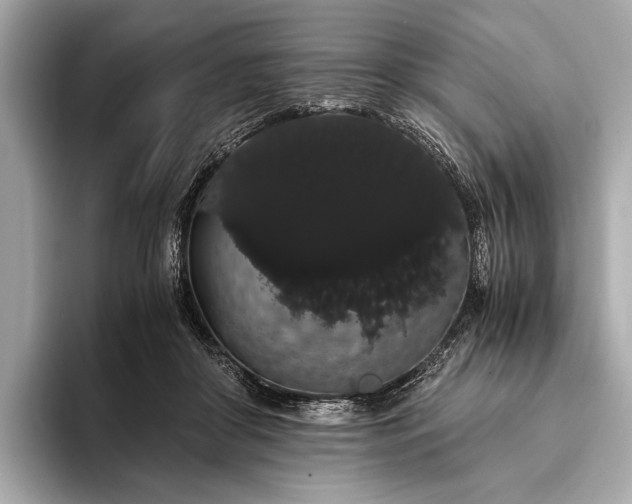 X0000093410410200710260942