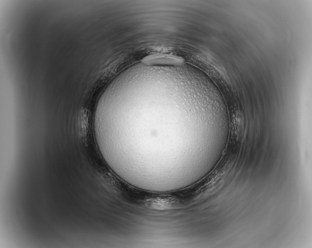 X0000093410412200710260942