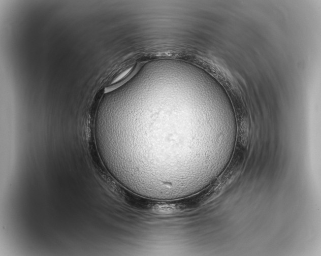 X0000093410413200710260942