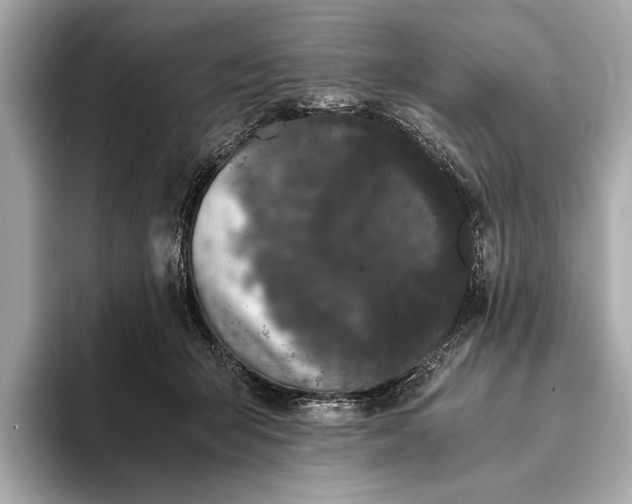 X0000093410415200710260942