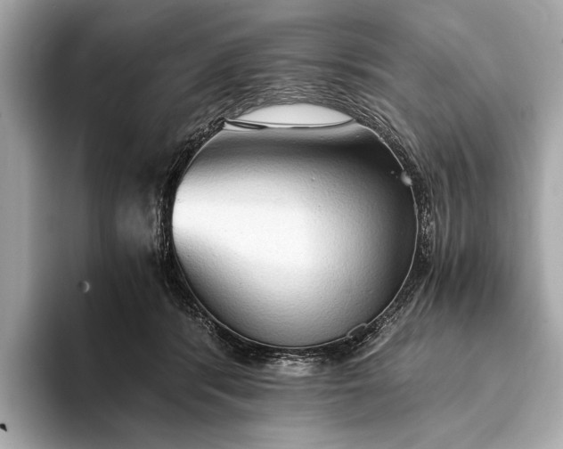 X0000093410416200710260942