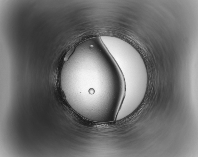 X0000093410417200710260942