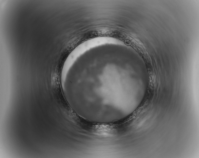 X0000093410419200710260942