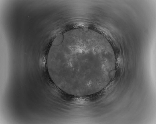 X0000093410423200710260942