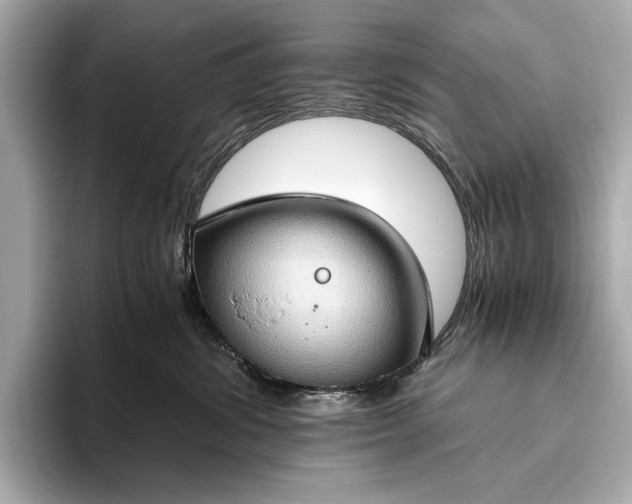 X0000093410428200710260942