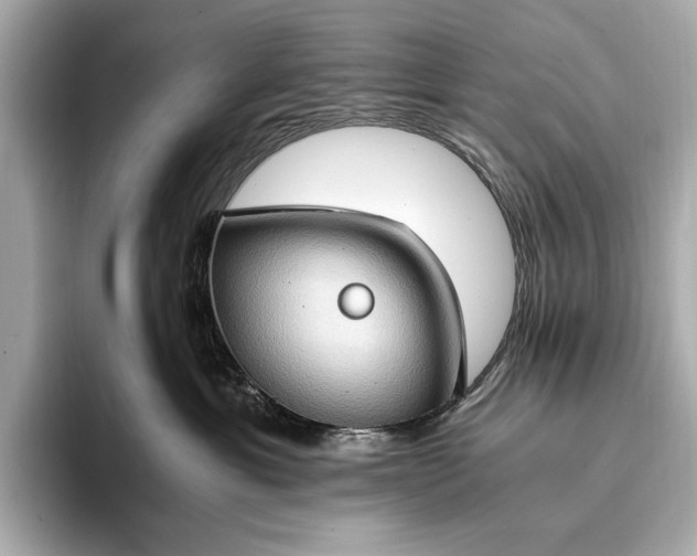 X0000093410429200710260942