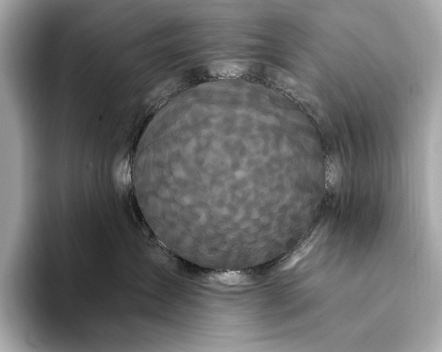 X0000093410431200710260942