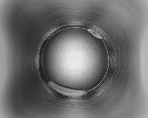 X0000093410436200710260941