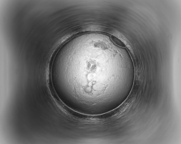 X0000093410437200710260941