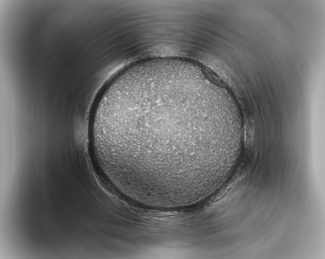 X0000093410438200710260941