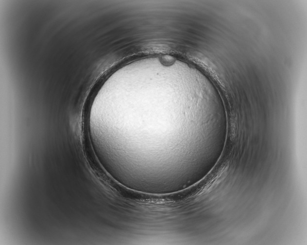 X0000093410439200710260941