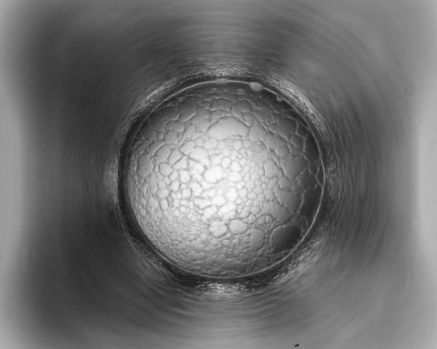 X0000093410442200710260941