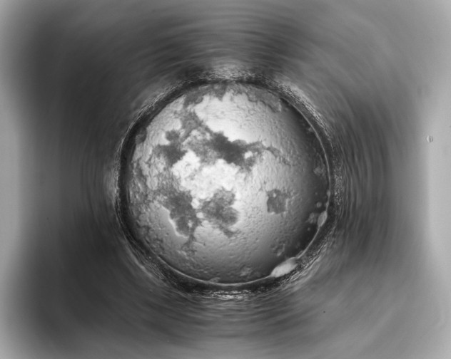 X0000093410443200710260941