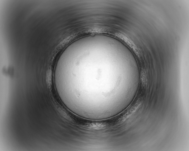 X0000093410445200710260941