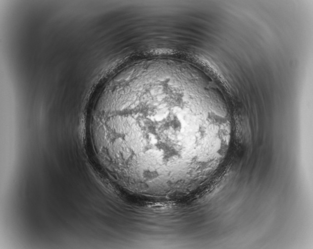 X0000093410447200710260941