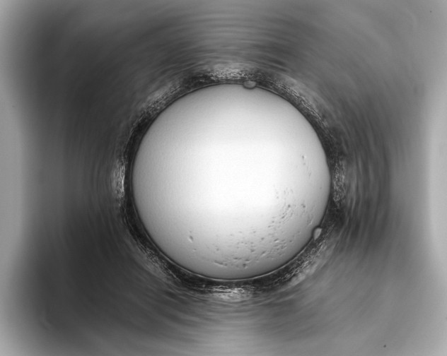 X0000093410454200710260941