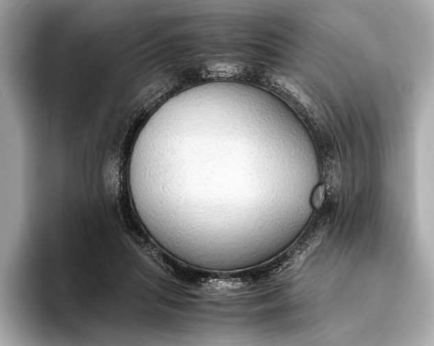 X0000093410455200710260941