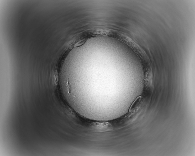 X0000093410474200710260942