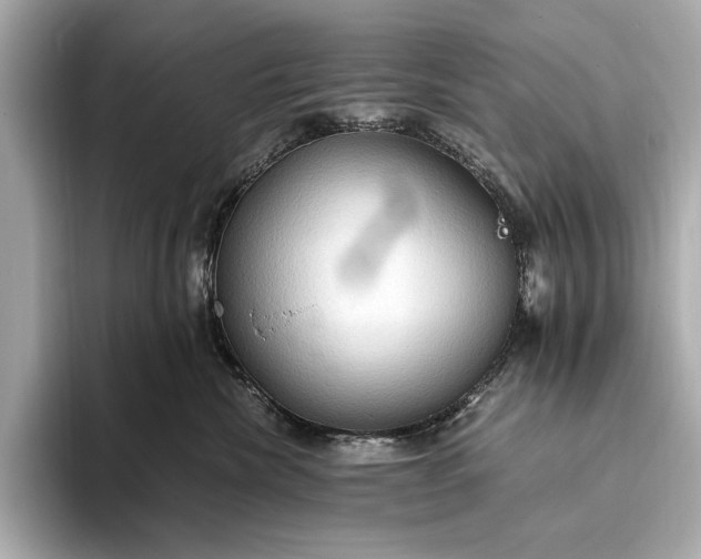 X0000093410476200710260942