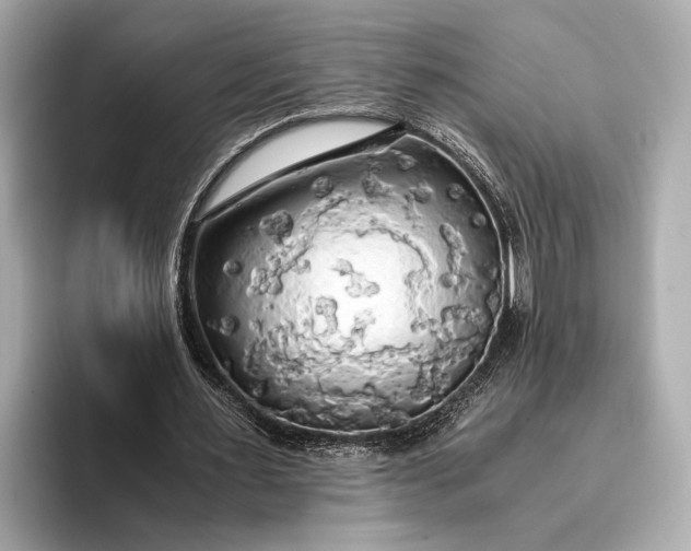 X0000093410483200710260941