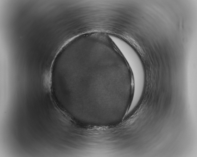 X0000093410484200710260941