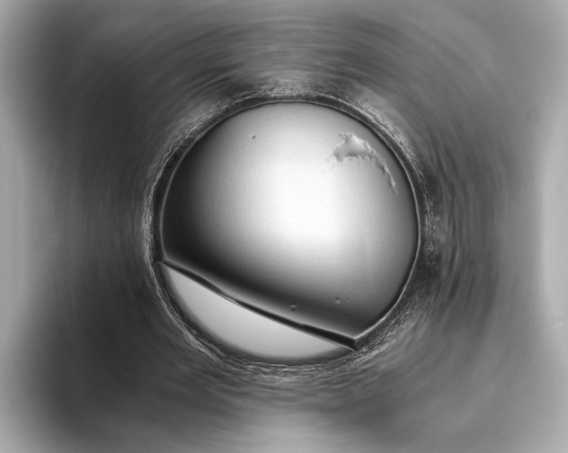 X0000093410485200710260941