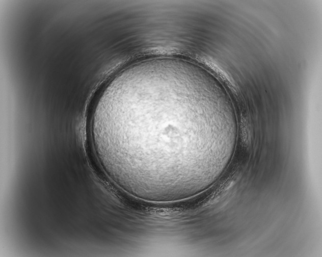 X0000093410486200710260941