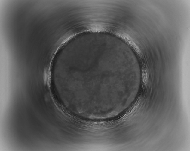 X0000093410488200710260941