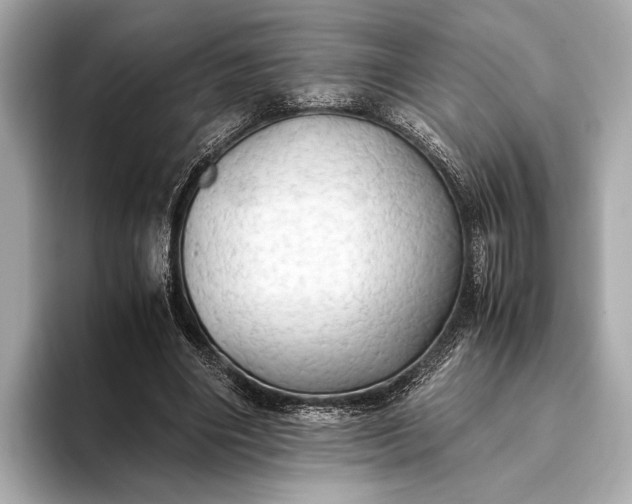 X0000093410490200710260941