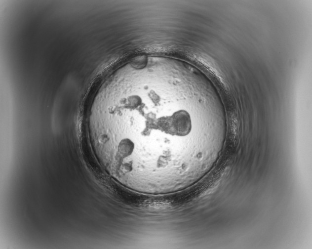 X0000093410491200710260941