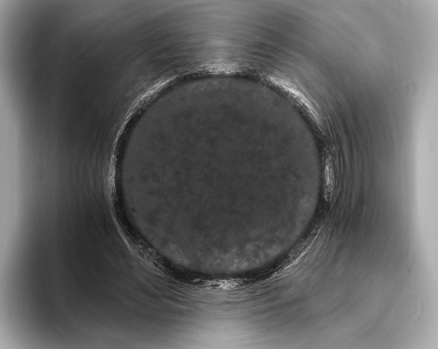 X0000093410492200710260941