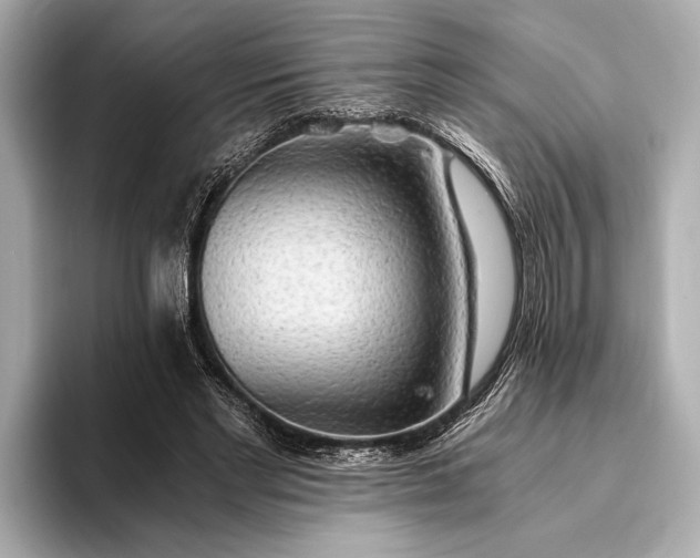 X0000093410493200710260941