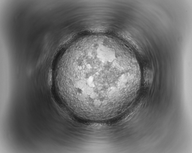 X0000093410494200710260941