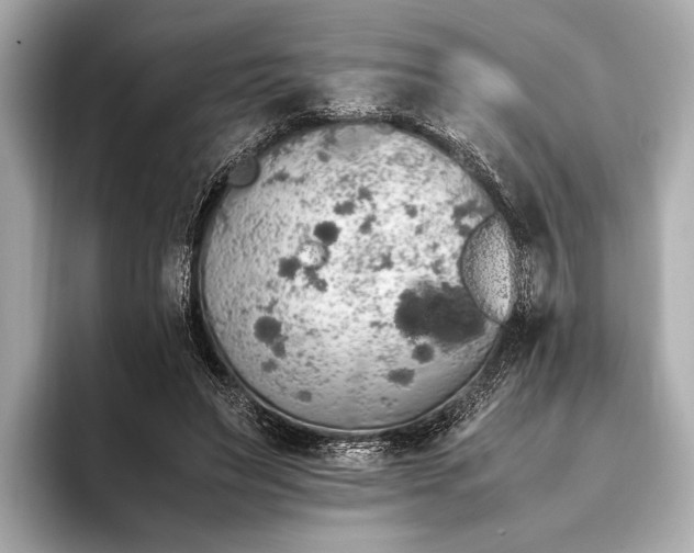 X0000093410495200710260941