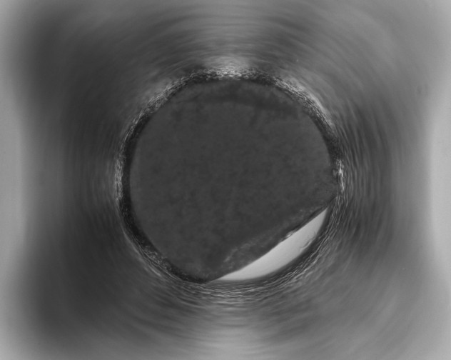 X0000093410496200710260941