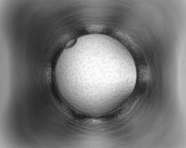 X0000093410498200710260941