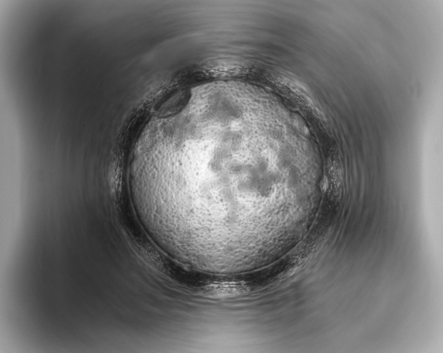 X0000093410499200710260941